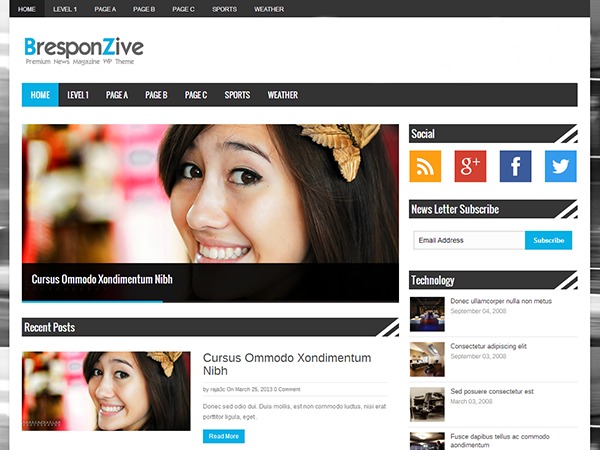 wf WordPress theme by Alex Stebenkov