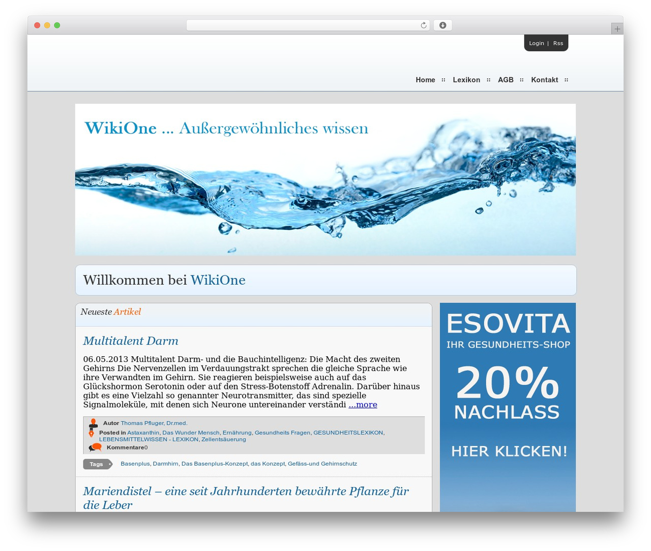 WordPress theme Article Directory Theme - wikione.de