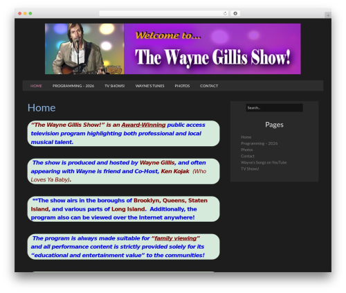 WordPress theme NewDark - wgshow.com