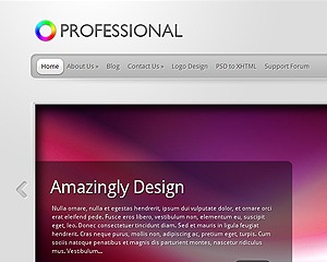 WordPress theme Professional Child by stephen