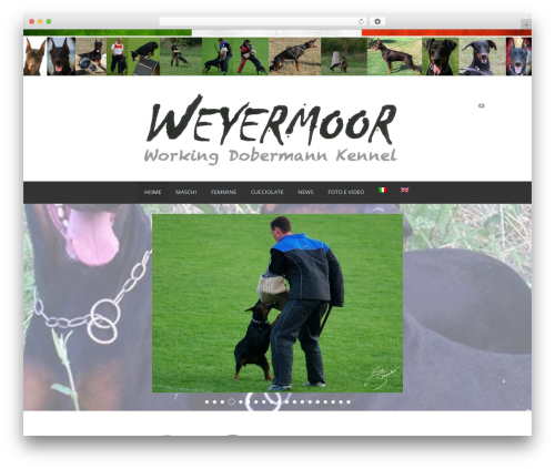 WordPress theme Ultimate - weyermoor.com