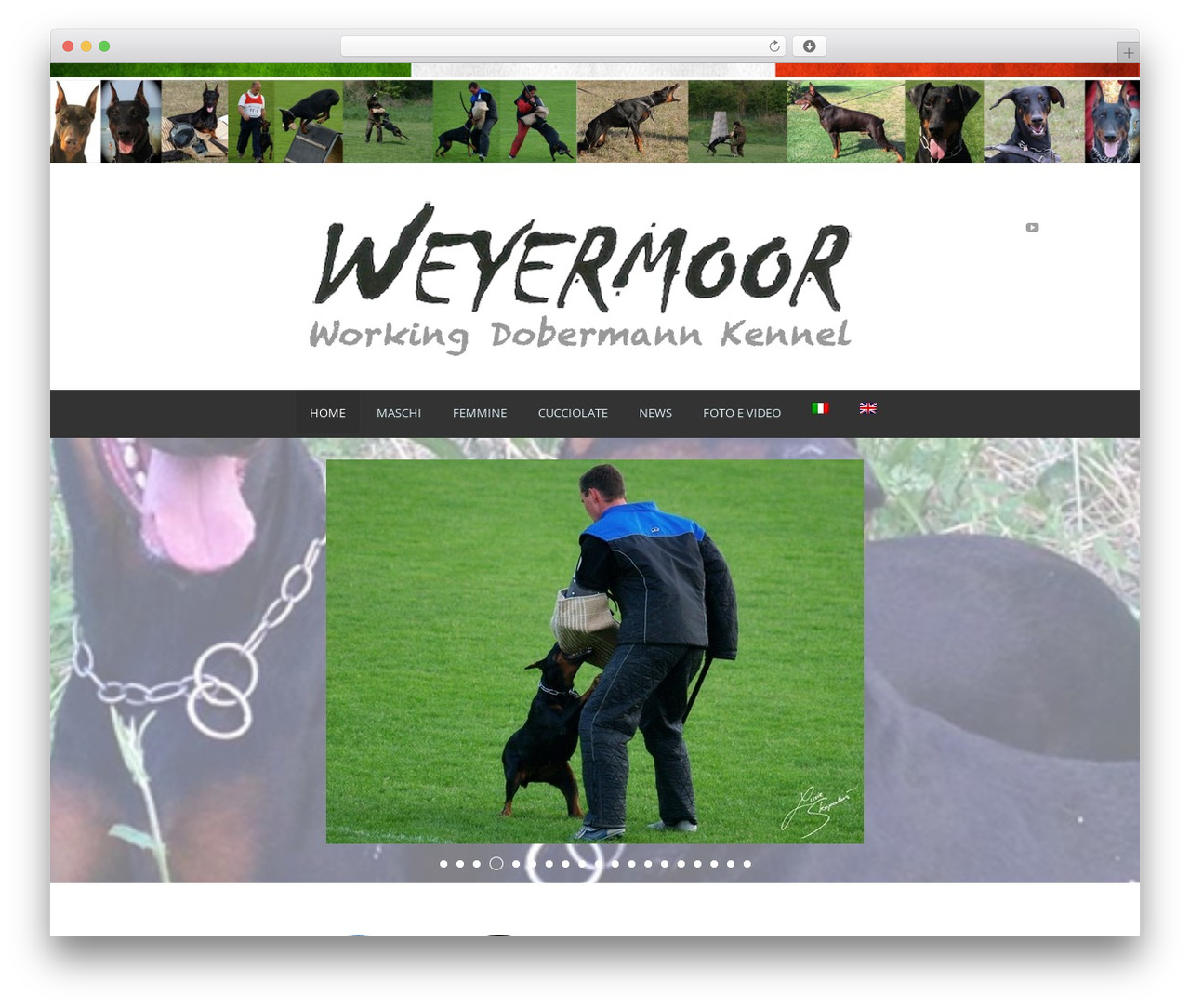 WordPress theme Ultimate - weyermoor.com