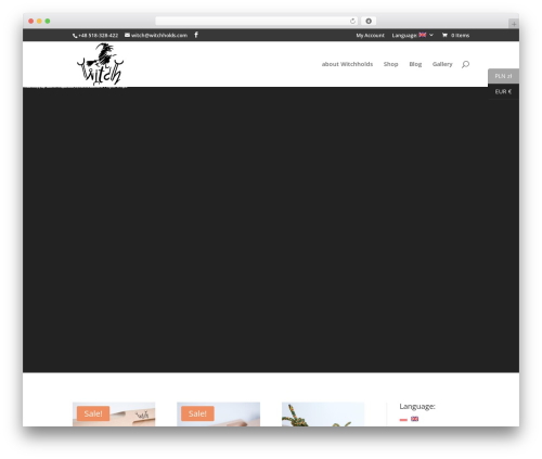 WordPress website theme Divi - witchholds.com