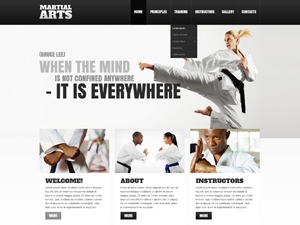 WordPress website theme theme43186 by Template_Help.com