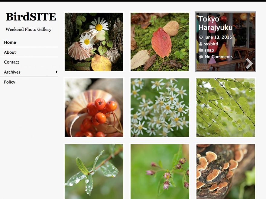 WORDPRESS Theme Kids Garden.