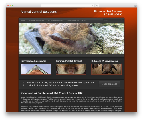 Complexity WP theme - richmondbatremoval.net