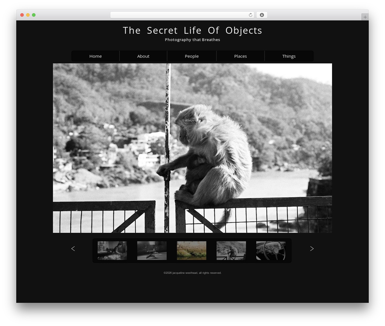 Modularity Lite theme WordPress - thesecretlifeofobjects.com