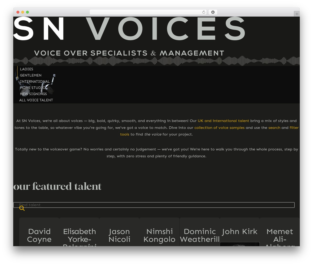 Pro WordPress theme - snvoices.com
