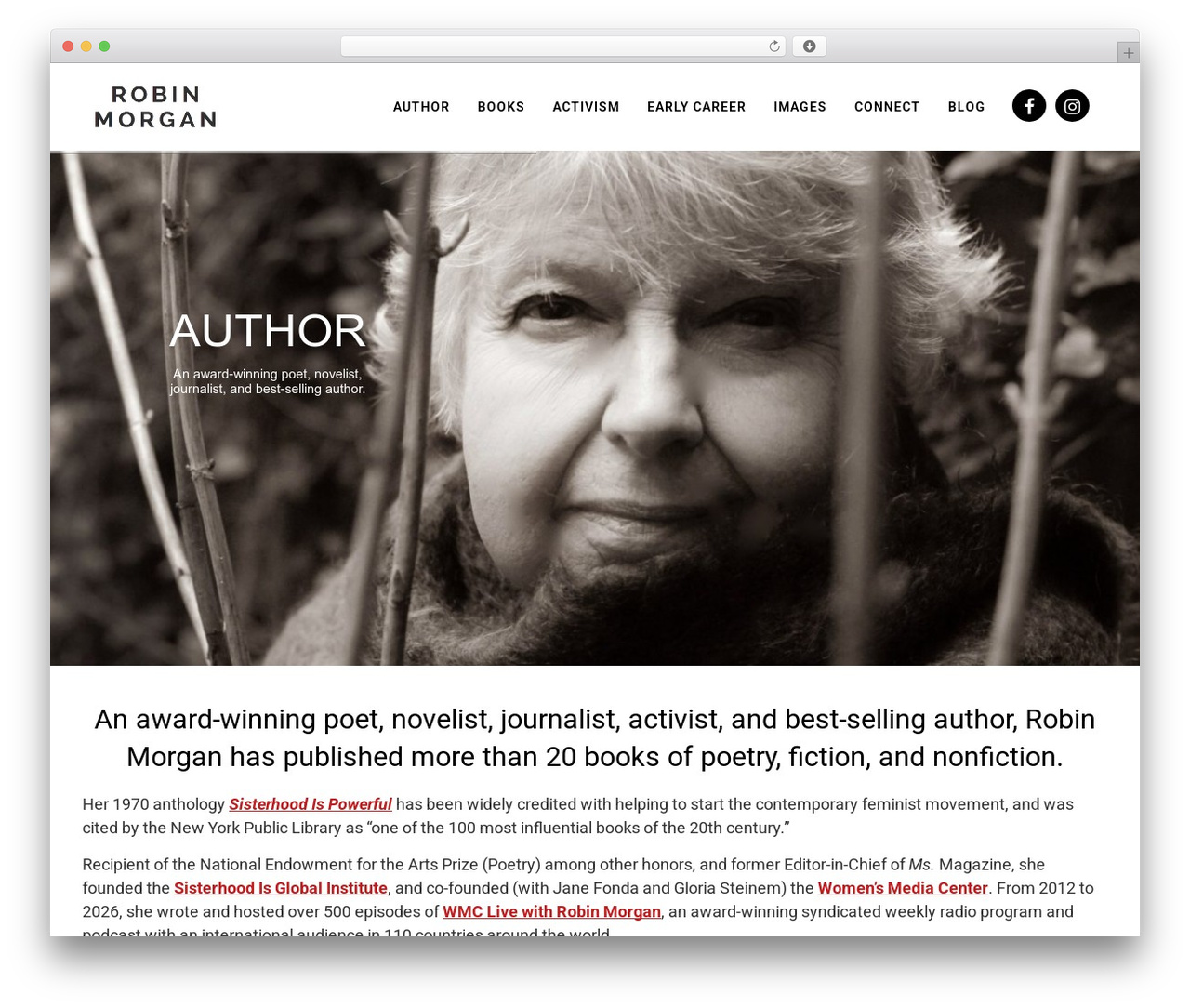 Theme WordPress Bridge - robinmorgan.net Theme WordPress Bridge - robinmorgan.net