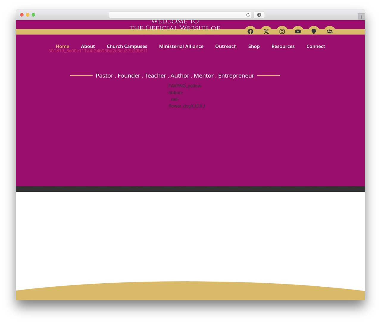 Theme WordPress Hello Elementor - drmariettabrown.net