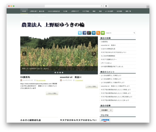 WordPress theme Maxy - ukinowa.com