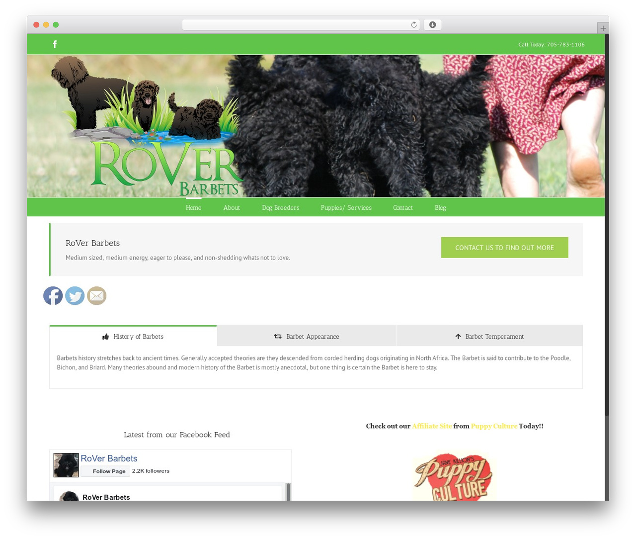 Avada WordPress theme design - roverbarbets.com Avada WordPress theme design - roverbarbets.com