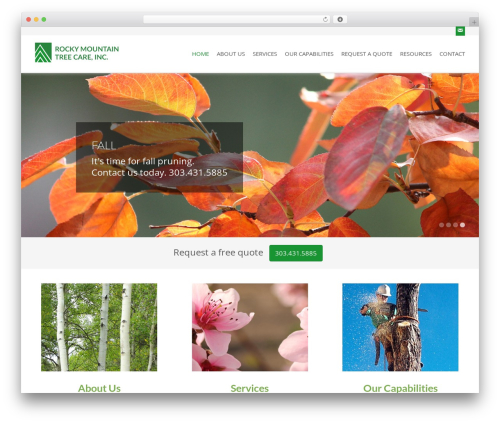 Clay theme WordPress - rockymountaintree.com