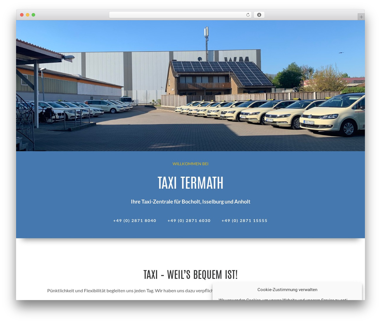 Constructor theme WordPress - termath.taxi Constructor theme WordPress - termath.taxi