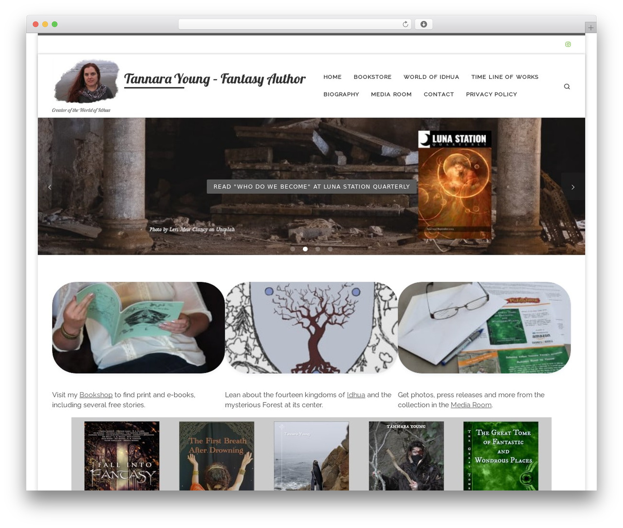 Customizr WordPress theme - tannarayoung.com