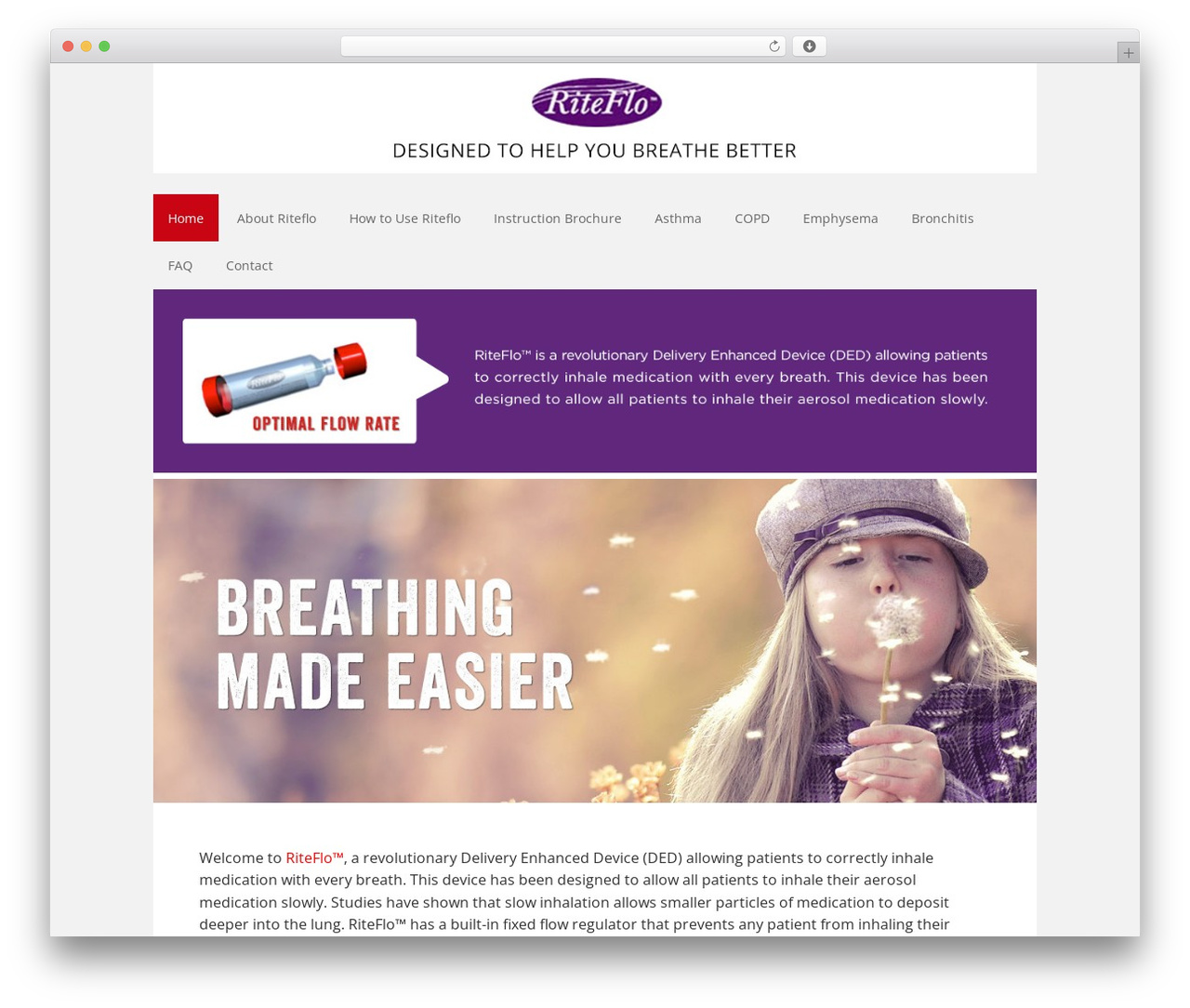 Executive Pro best WordPress theme - riteflo.com Executive Pro best WordPress theme - riteflo.com