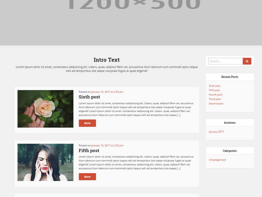 Rollers premium WordPress theme by aleksinsky.ru