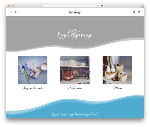 Bs barion pixel WordPress plugin - ligetgyongye.hu
