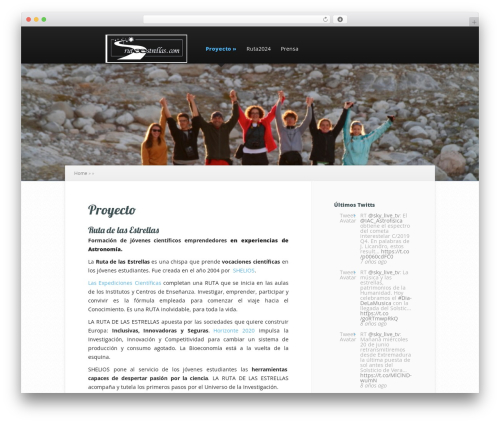 Simple Twitter Tweets (simple-twitter-tweets) free WordPress plugin - rutaestrellas.com
