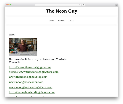 Theme WordPress blogwaves - theneonguy.com