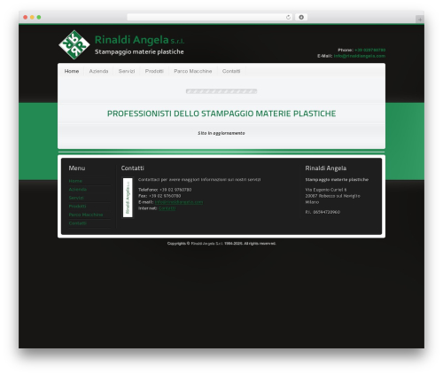 WordPress theme Etherna WP 1.2a - rinaldiangela.com