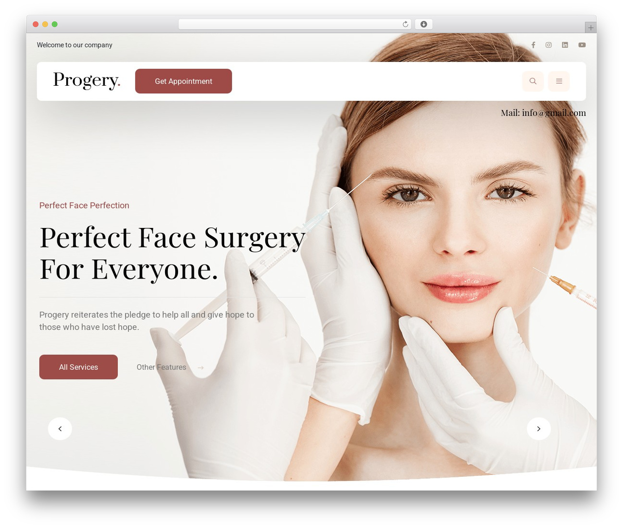 Progery WordPress theme - wp.bdevs.net/progery