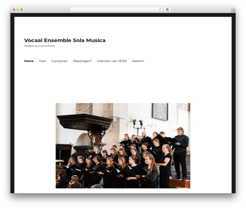 HT Feed (ht-instagram) free WordPress plugin - solamusica.nl