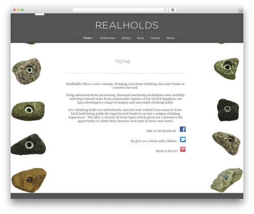 WordPress theme Typo - realholds.com