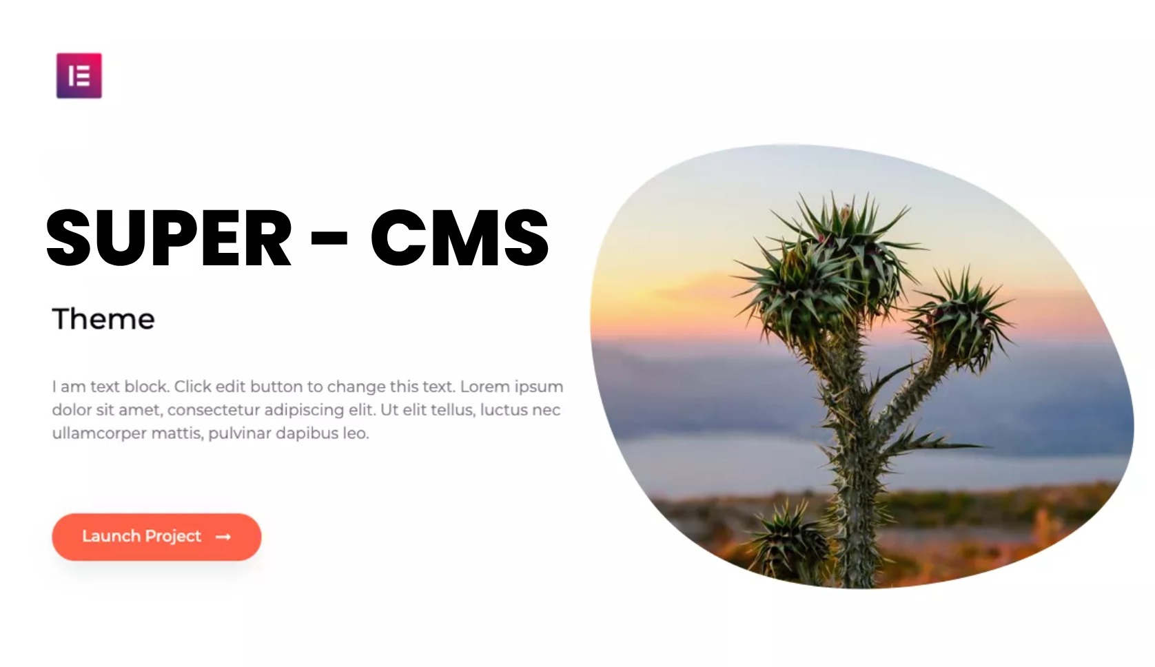 WordPress website theme Super CMS WordPress website theme Super CMS