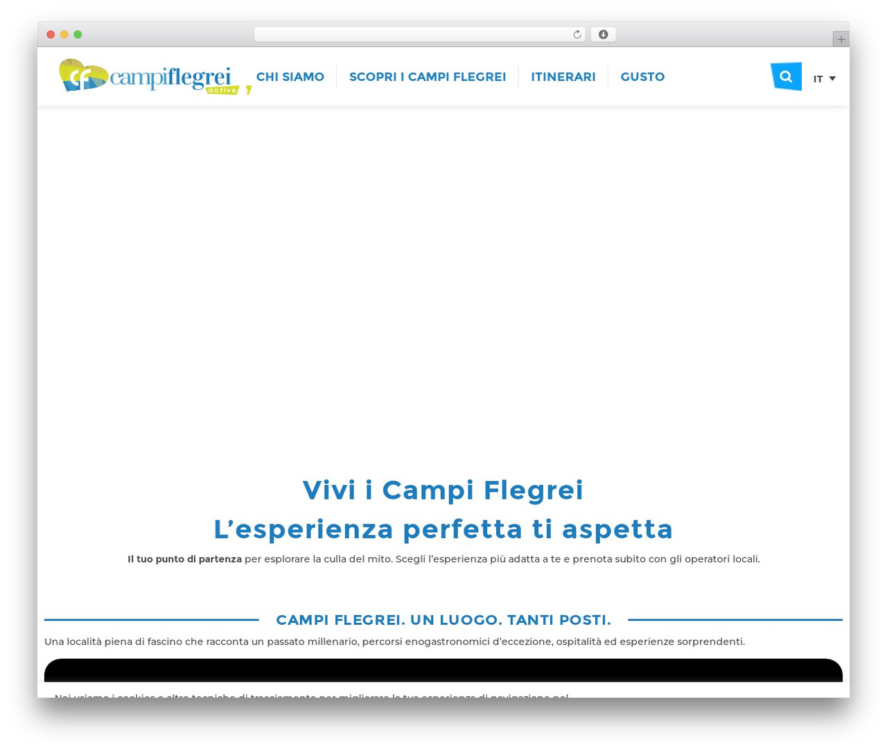 DFD Native WordPress theme design - campiflegreiactive.com