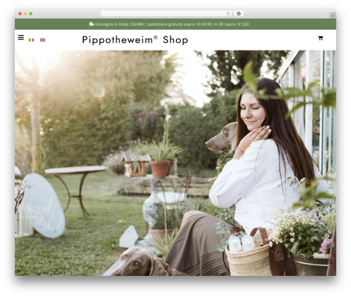 Jet woo builder custom quantity selectors main WordPress plugin - www.pippotheweim.it