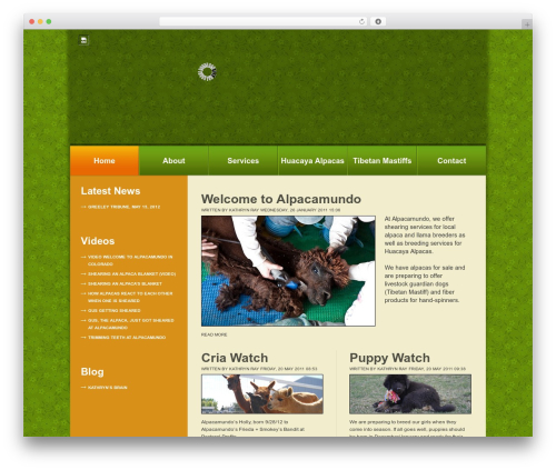 WordPress Theme Number theme WordPress - alpacamundo.com