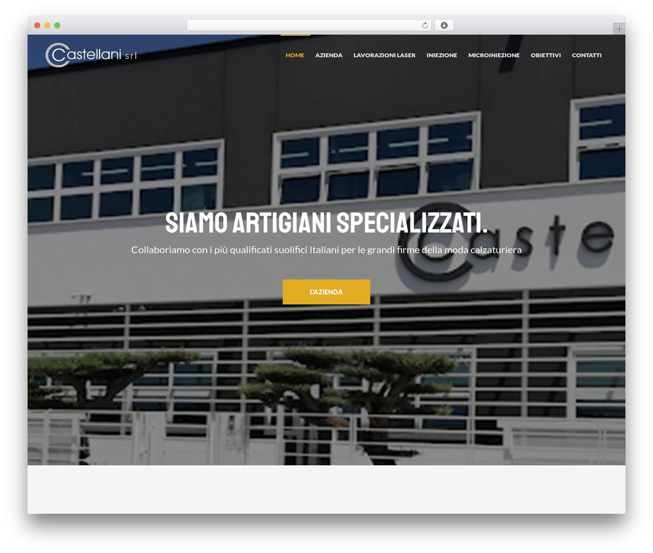 Artebit WordPress theme - castellanilaser.it