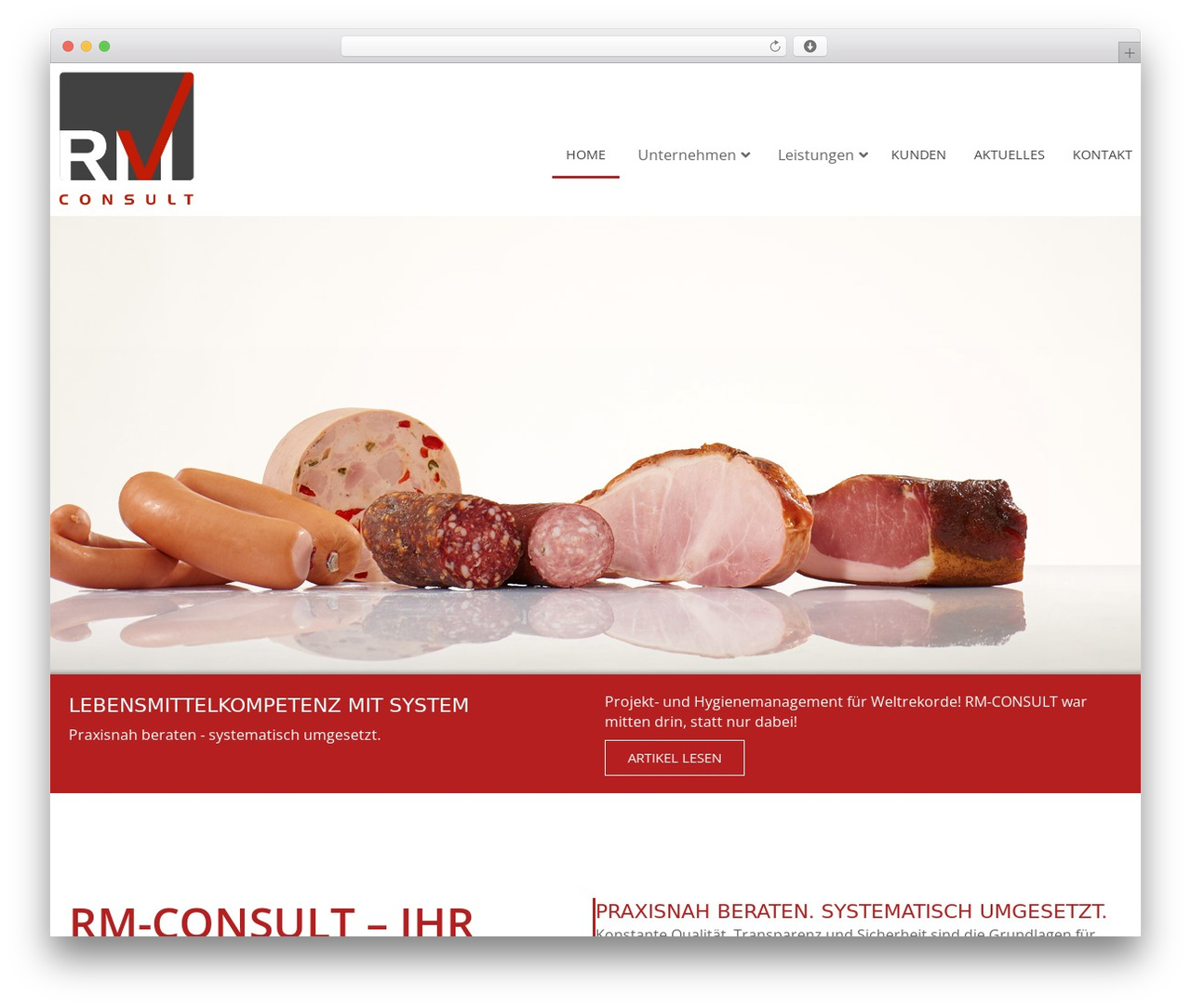 RM Consult Theme WordPress theme - rm-consult.at