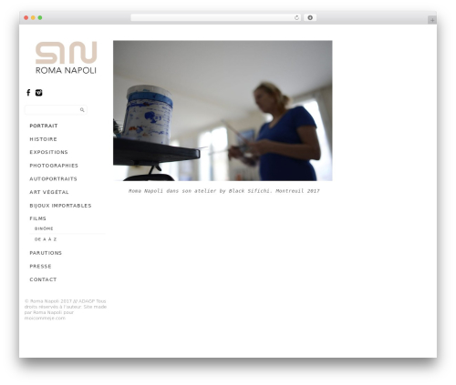 WordPress theme Side Grid Responsive WordPress Theme - romanapoliart.com