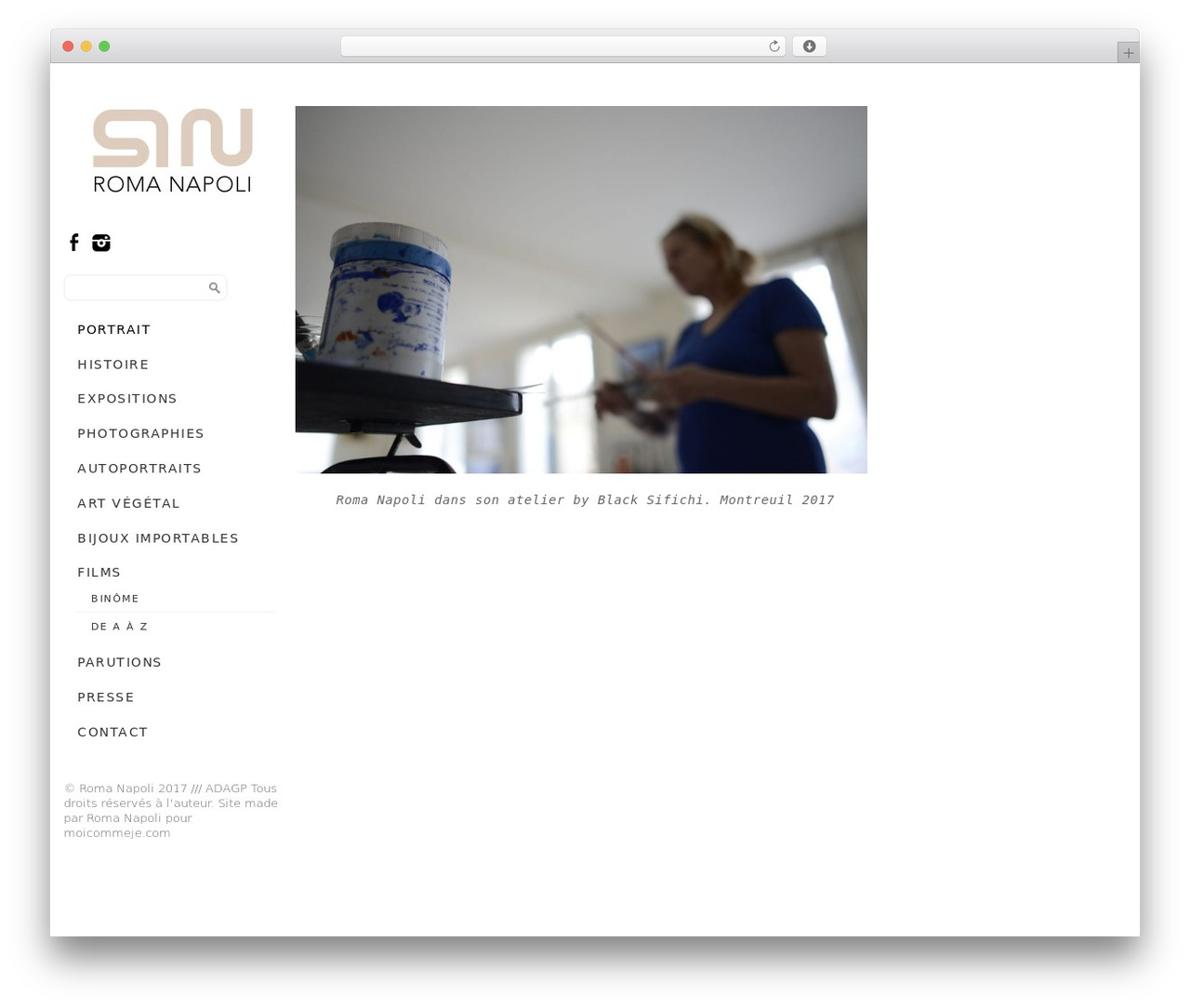 WordPress theme Side Grid Responsive WordPress Theme - romanapoliart.com