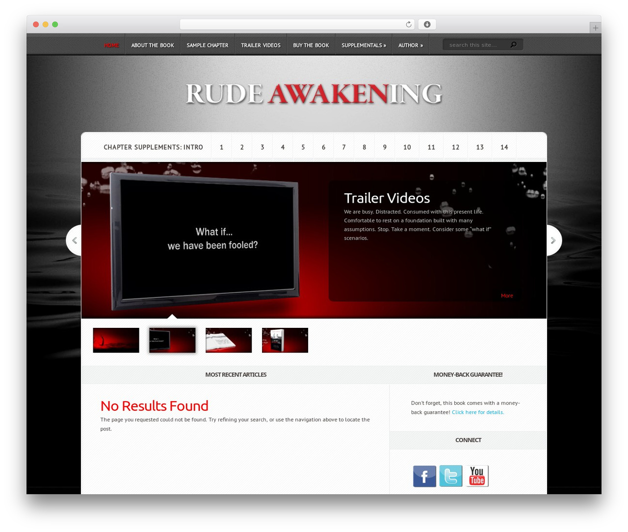Aggregate WP theme - rudeawakeningbook.com
