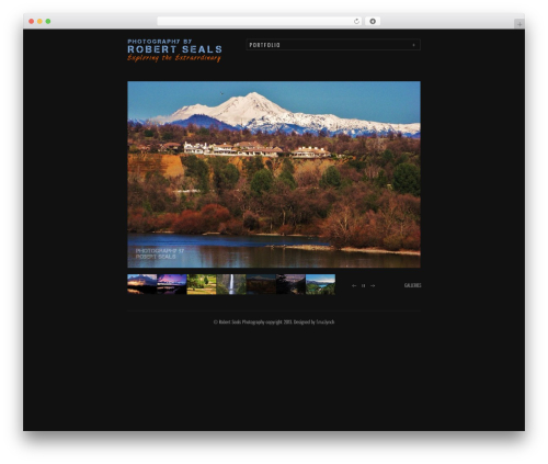 Cluster top WordPress theme - robertsealsimages.com