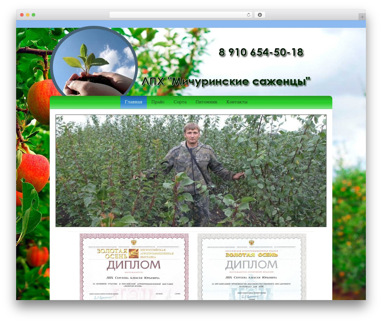 Dynamik WP theme - mich-sad.ru Dynamik WP theme - mich-sad.ru