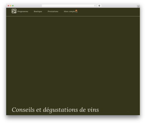 Flexible coupons pro WordPress plugin - terralogia.ch