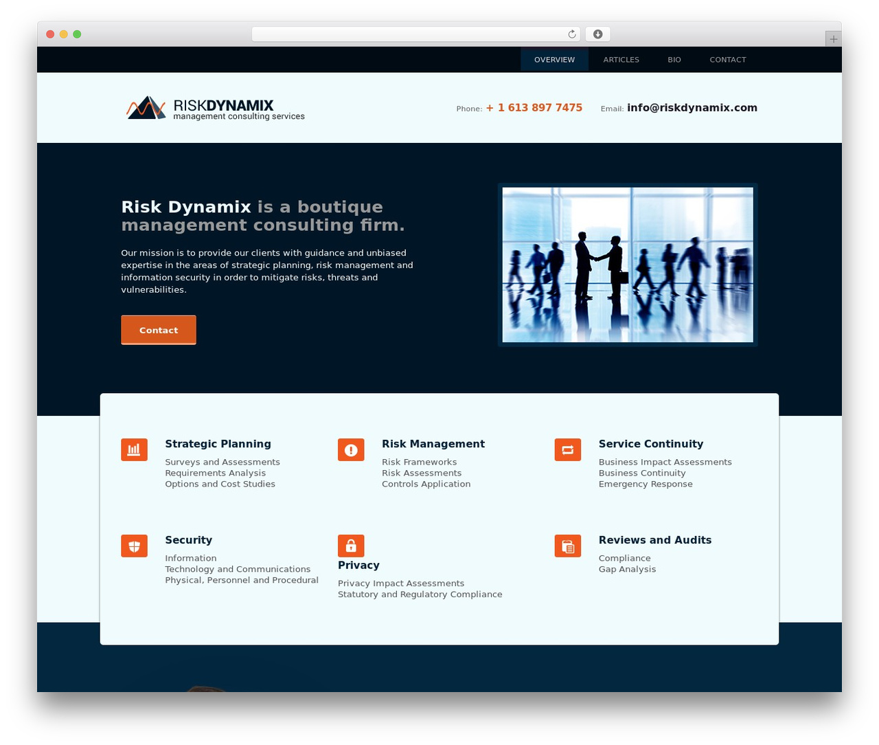 Risk Dynamix Theme WP theme - riskdynamix.com