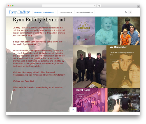 Builder bg video slider WordPress plugin - ryanraffety.com