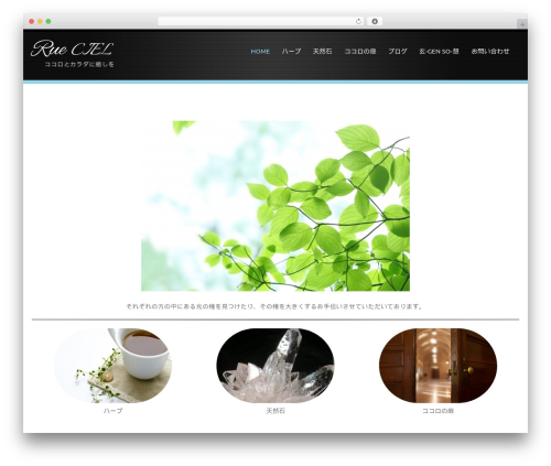 WP Custom Fields Search (wp-custom-fields-search) free WordPress plugin - rue-ciel.com WP Custom Fields Search (wp-custom-fields-search) free WordPress plugin - rue-ciel.com
