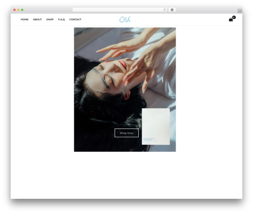 Revenue WordPress plugin - okclubco.com