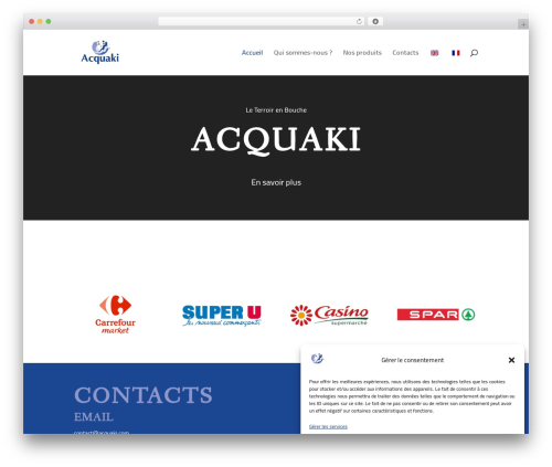 Tp add on automatic language detection WordPress plugin - acquaki.com