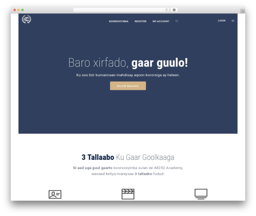 Vibe earnings WordPress plugin - im252academy.com