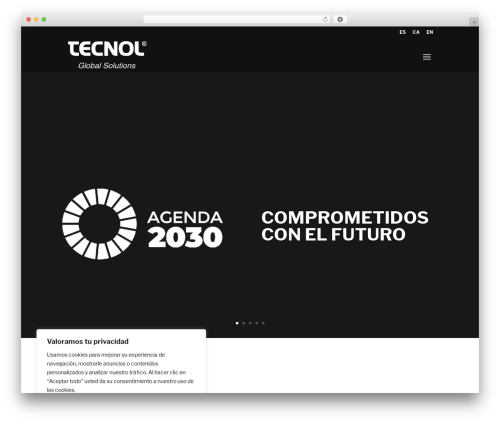 Divi theme WordPress - tecnol.es
