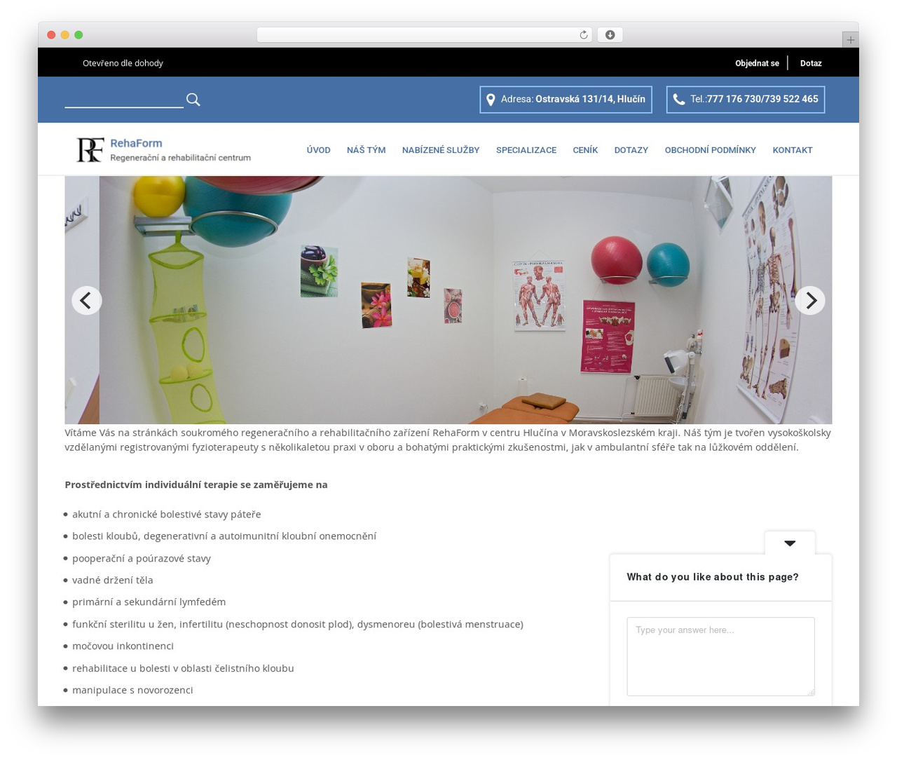 Physiotherapy WordPress theme - rehaform.cz Physiotherapy WordPress theme - rehaform.cz
