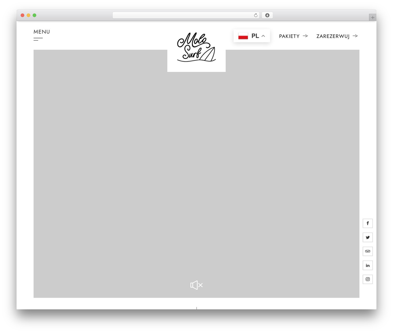 314 Theme WP theme - molosurf.com
