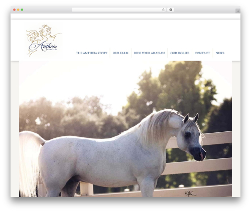 Beaver Builder Theme WordPress theme - antheiaarabians.com